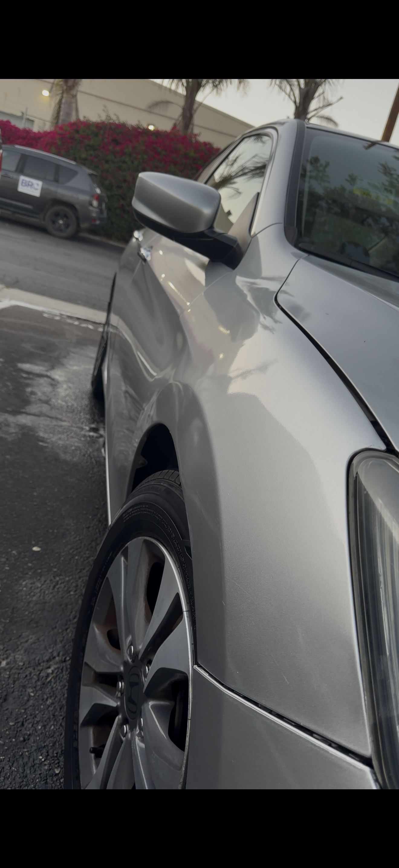 Premium/Car Restoration Detail